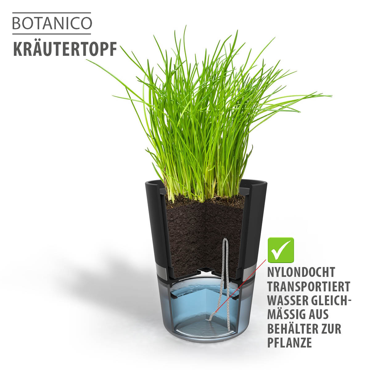 Kräutertopf BOTANICO