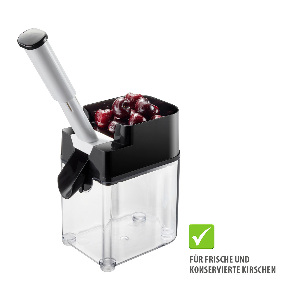 Kirschentkerner CORER