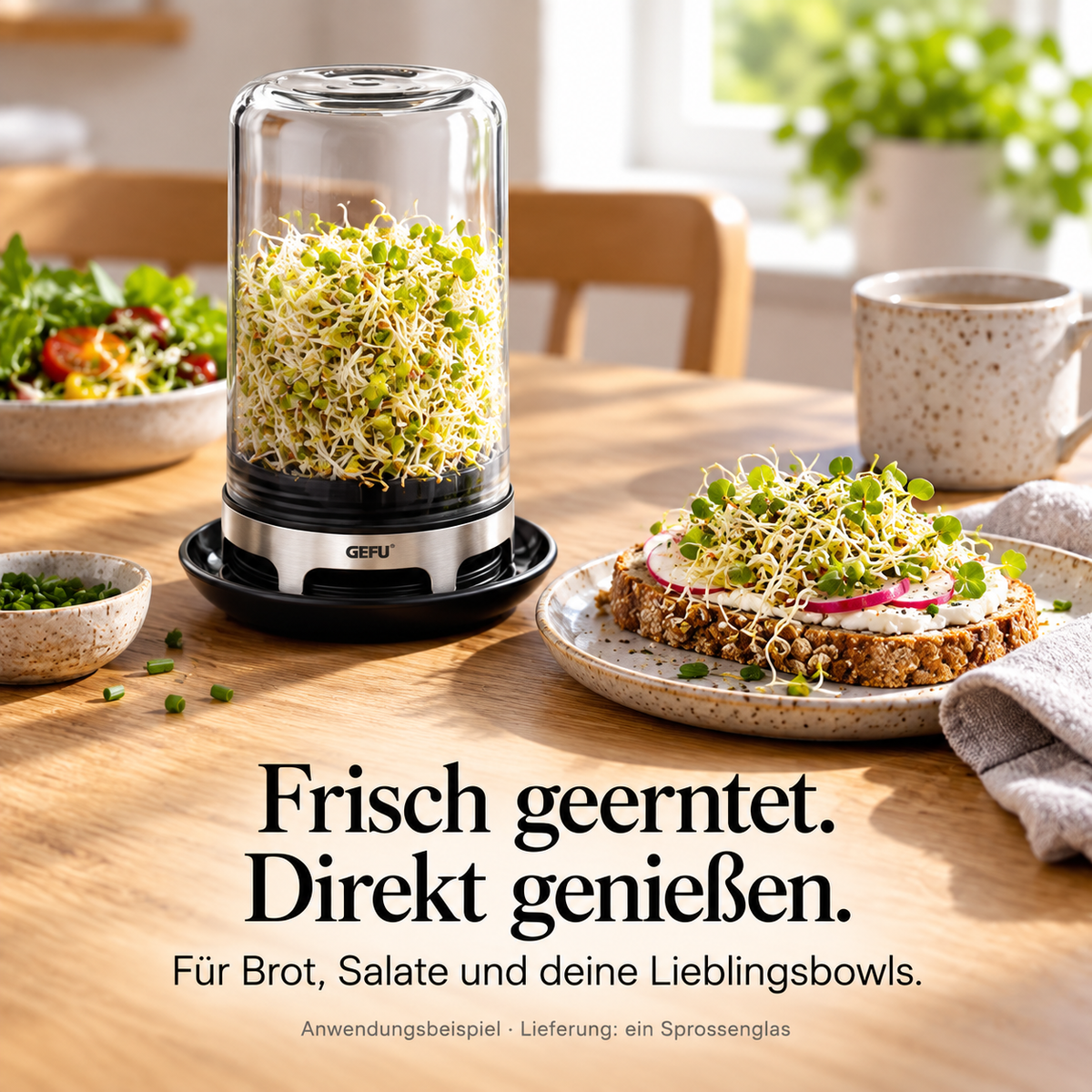 BIVITA – Anwendung, Qualität und Ergebnis