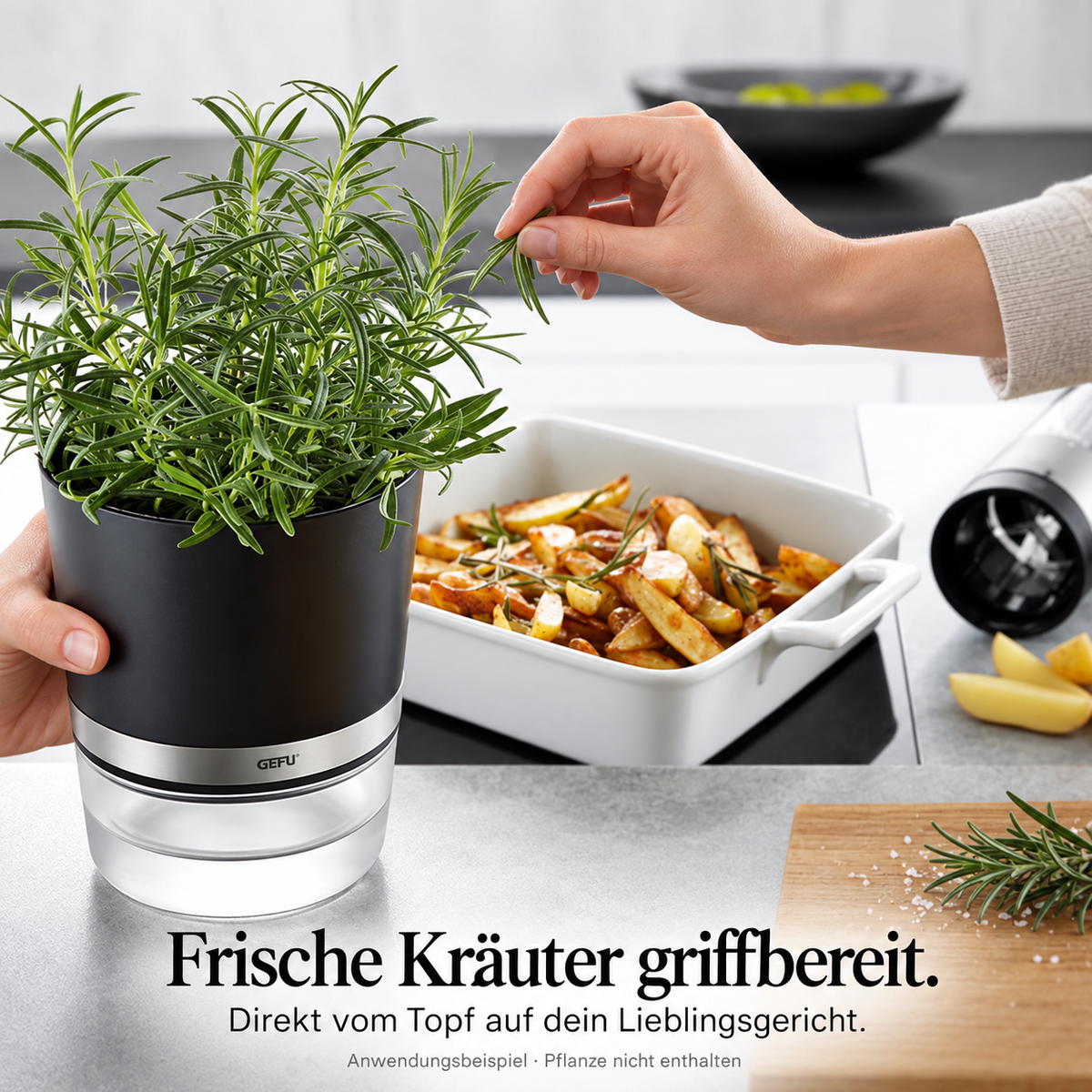 BOTANICO – Anwendung, Qualität und Ergebnis