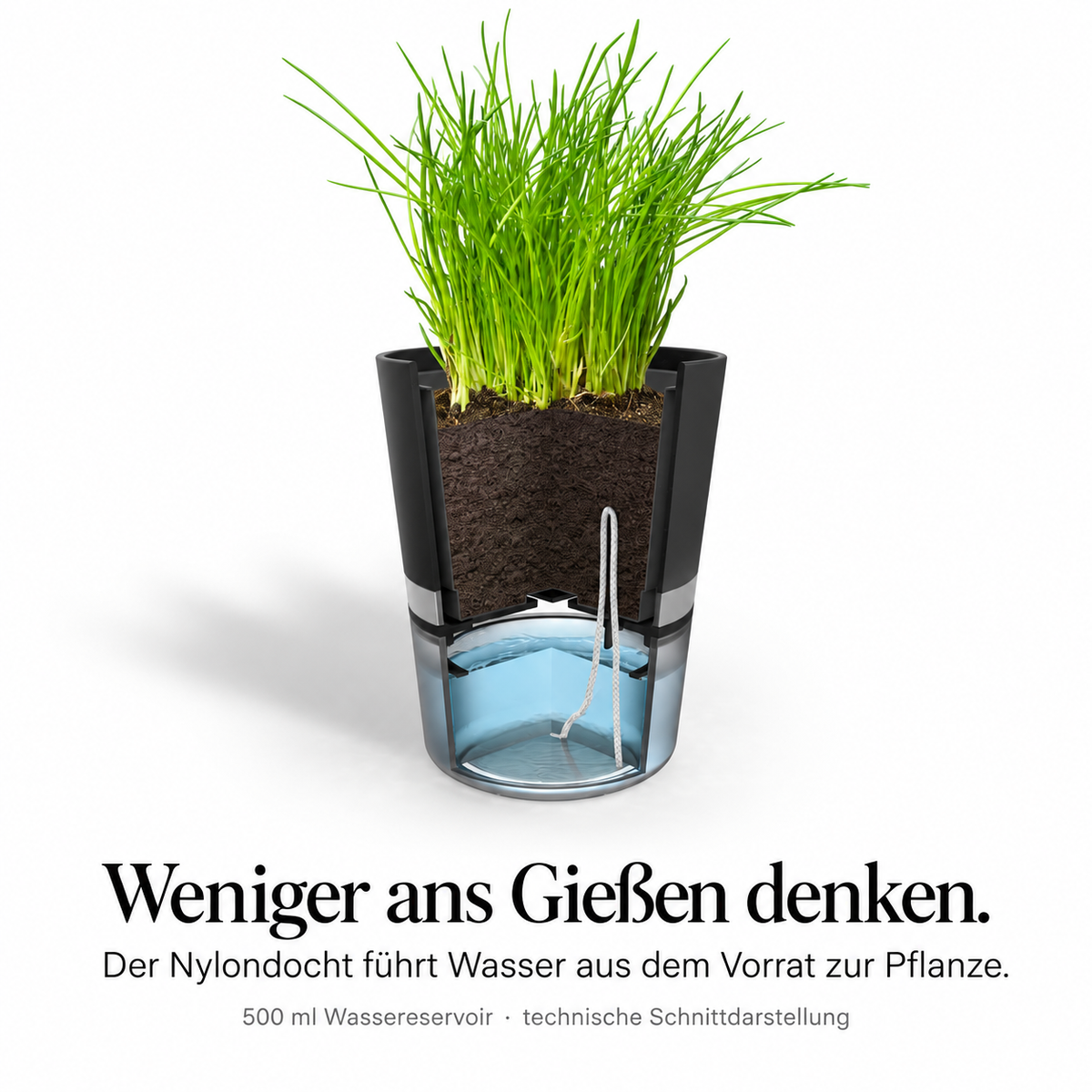 BOTANICO – Anwendung, Qualität und Ergebnis