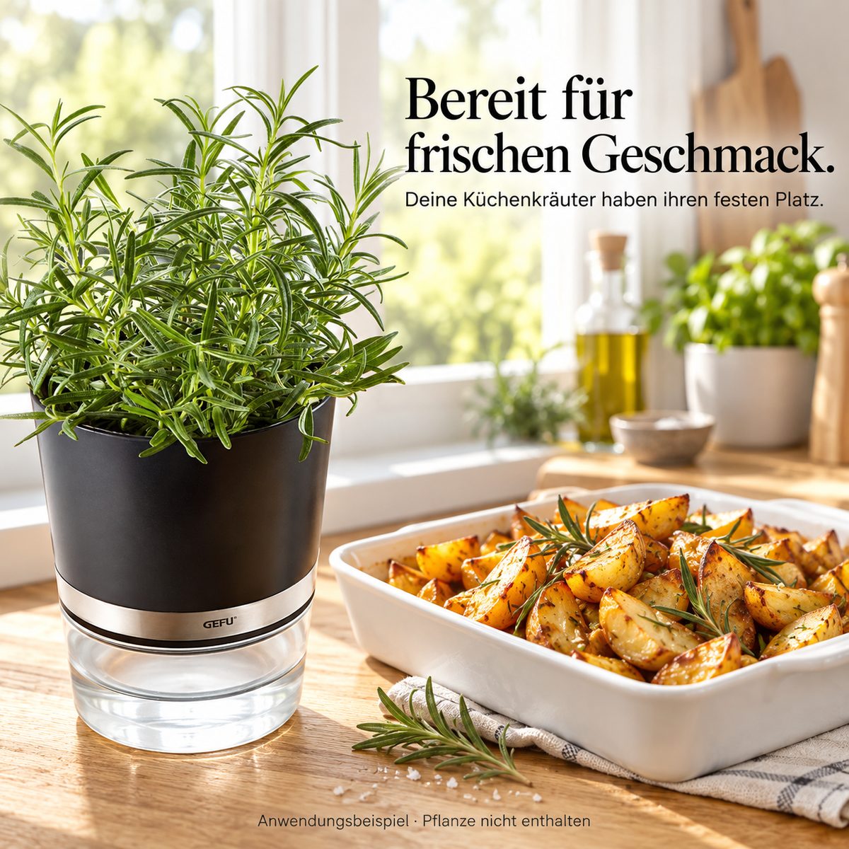 BOTANICO – Anwendung, Qualität und Ergebnis