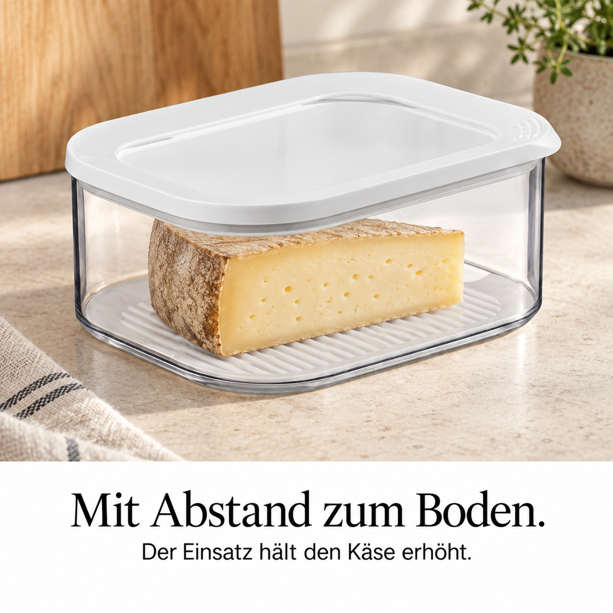 Modula Käse – Anwendung, Qualität und Ergebnis