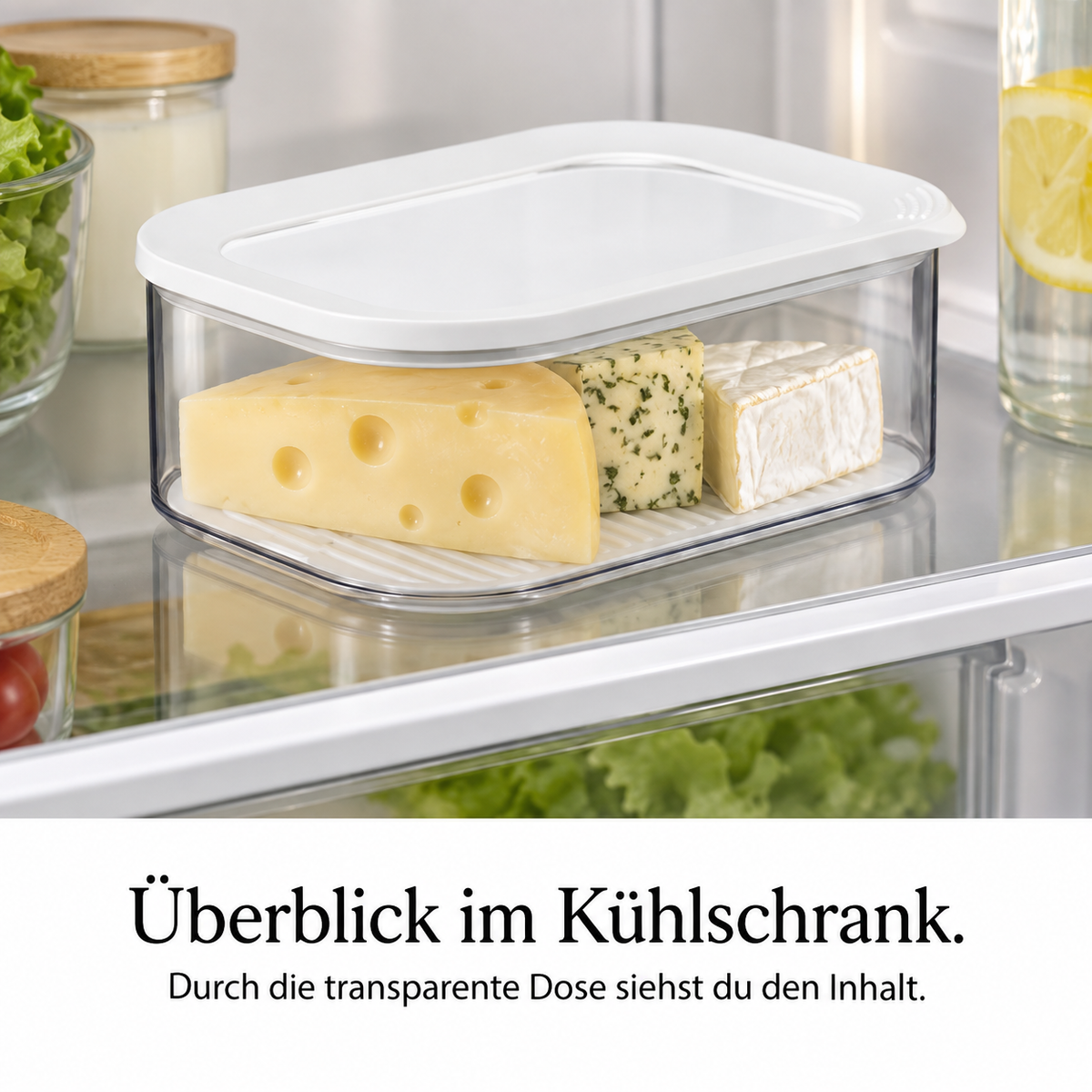 Modula Käse – Anwendung, Qualität und Ergebnis