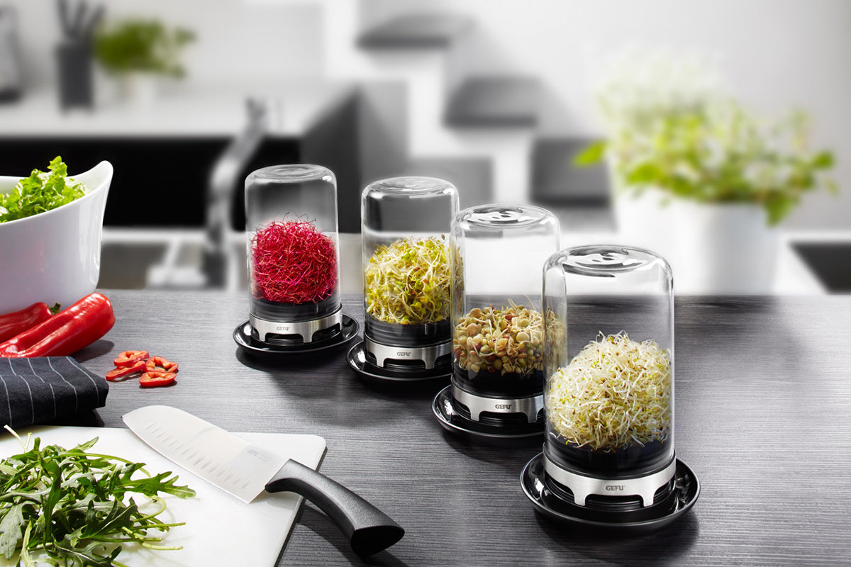 Frische Sprossen aus deiner Küche