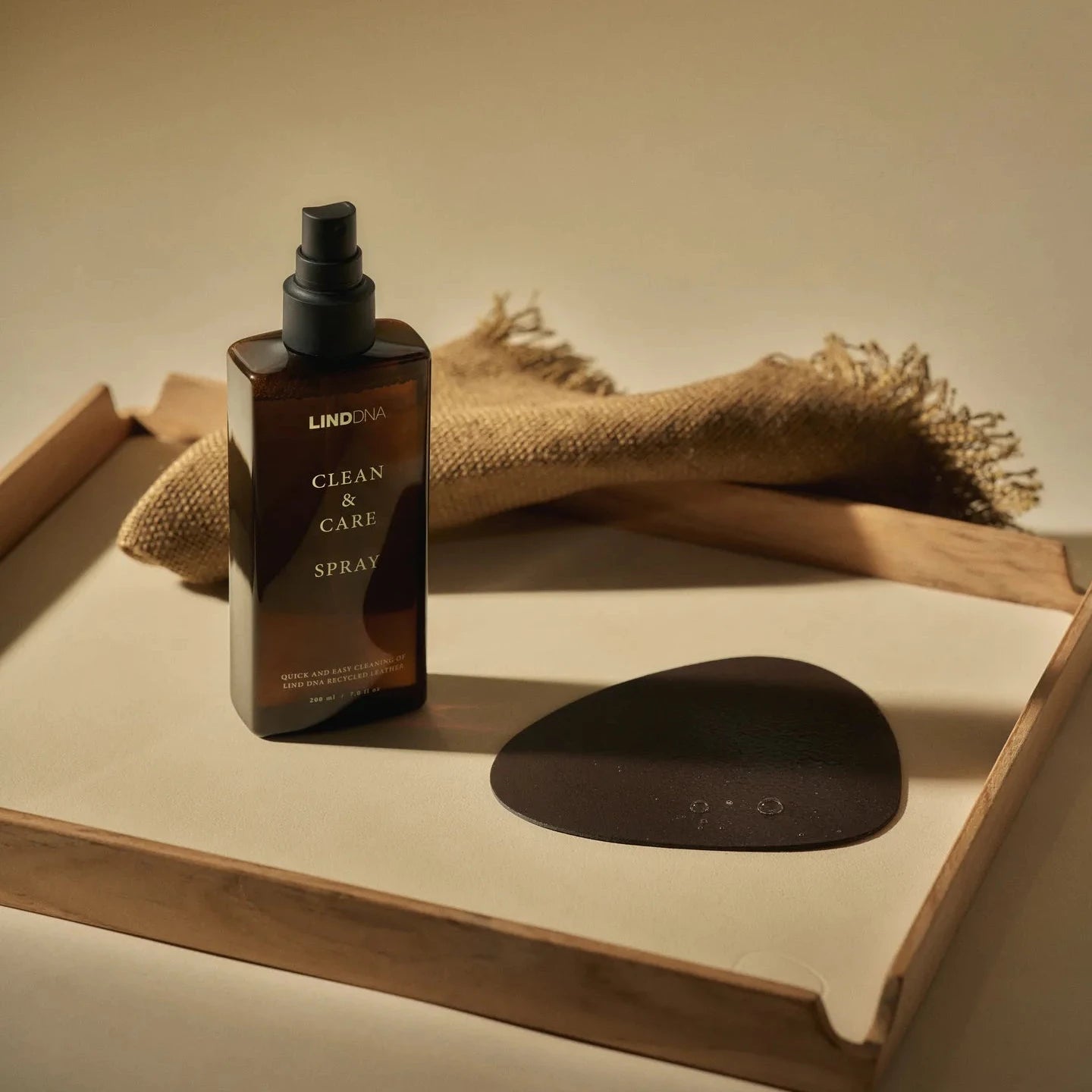 Clean & Care Reinigungsspray