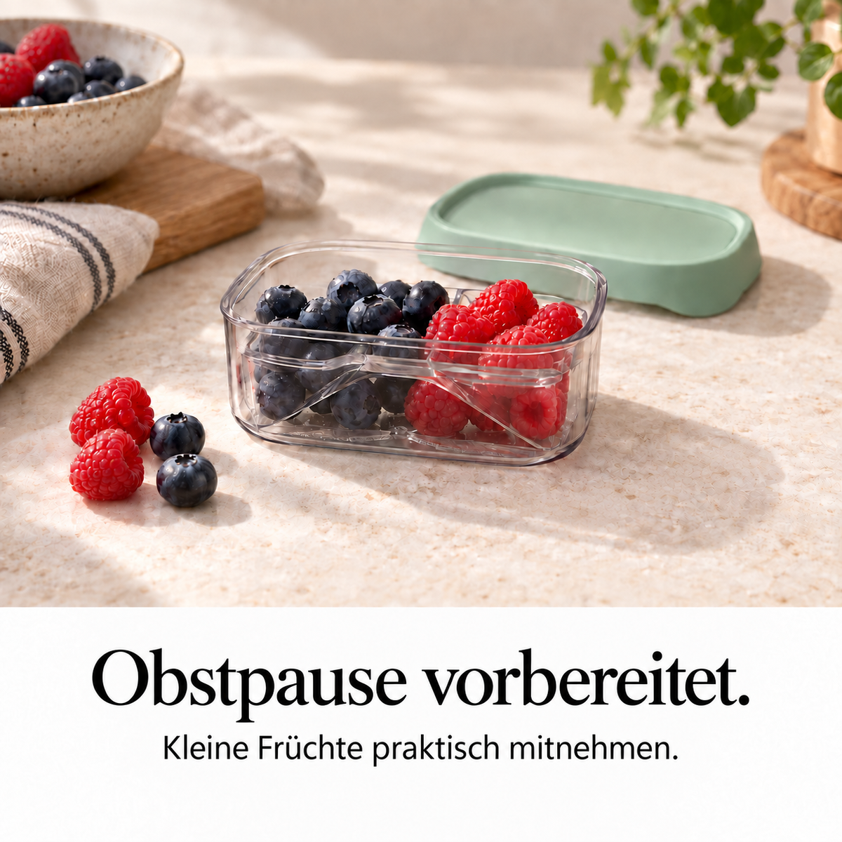 Fruchtbox Take a Break mit frischem Obst – Anwendungsbeispiel