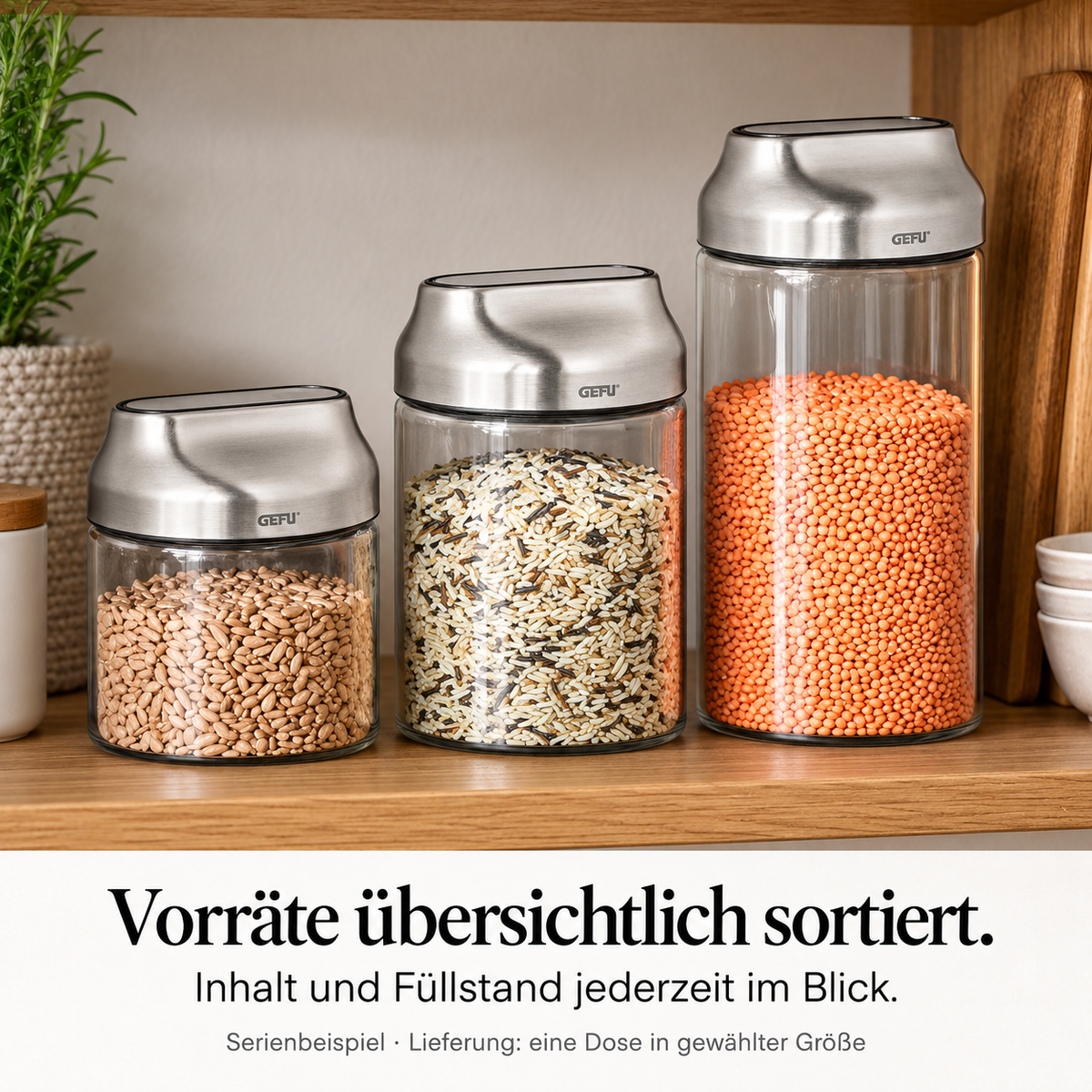 KIPPO Vorratsdose – Anwendung, Qualität und Ergebnis
