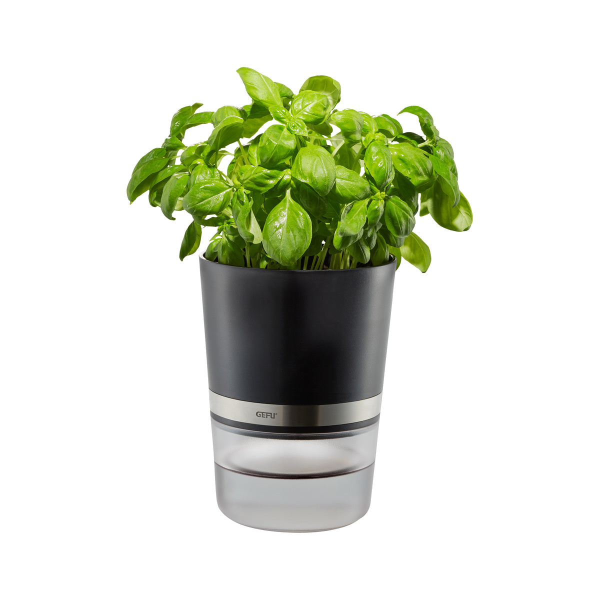 Kräutertopf BOTANICO