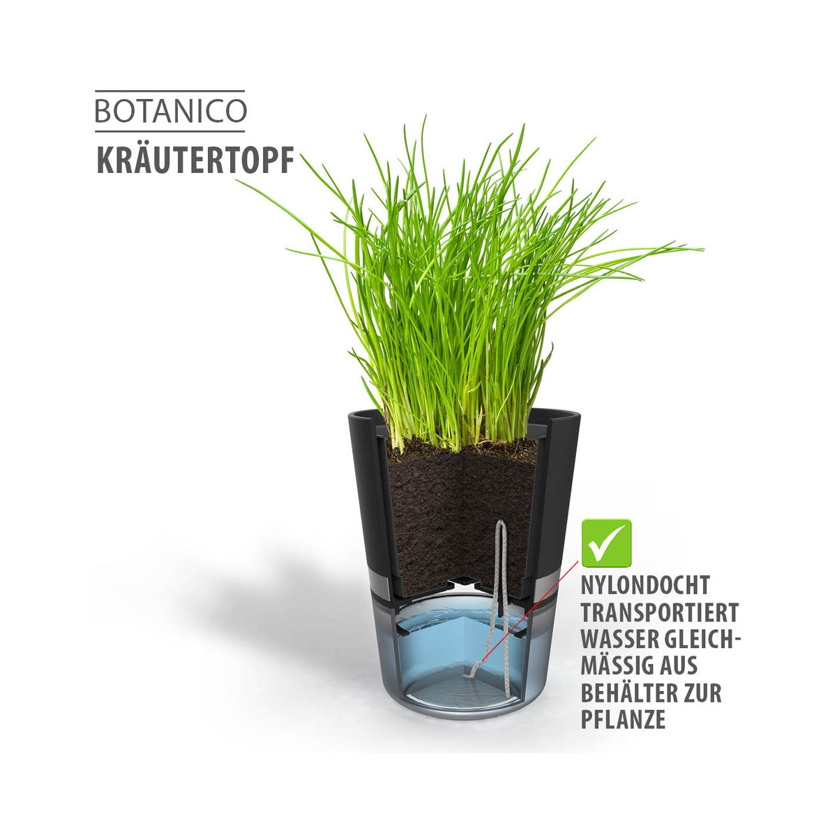 Kräutertopf BOTANICO