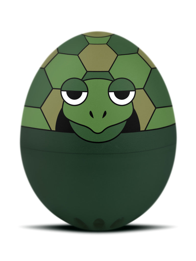 Brainstream PiepEi – Schildkröte – Originalbild