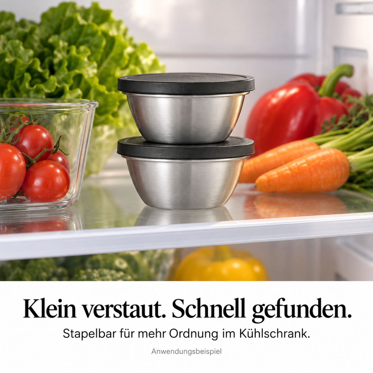 RINO – ergebnis